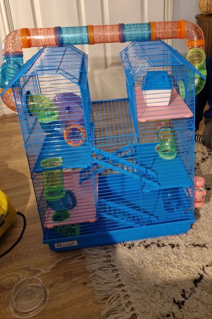 Free hamster cage & accesories