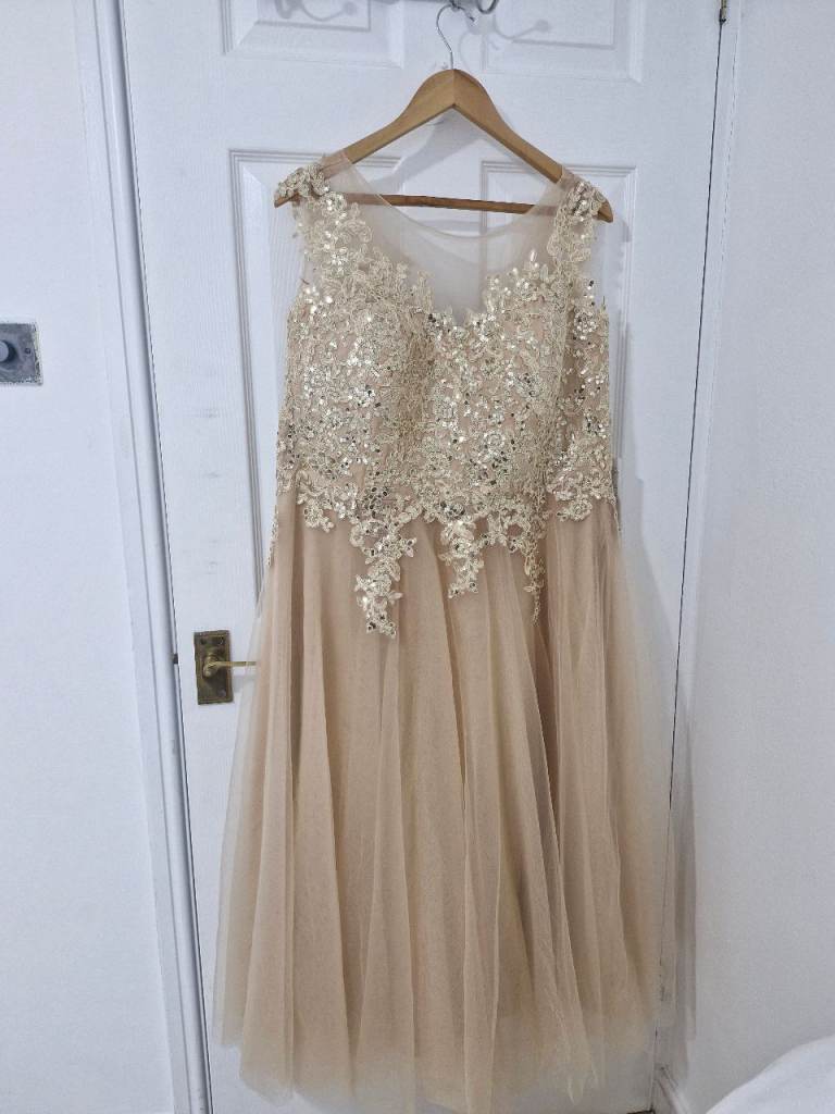 Women occasional dress uk12
