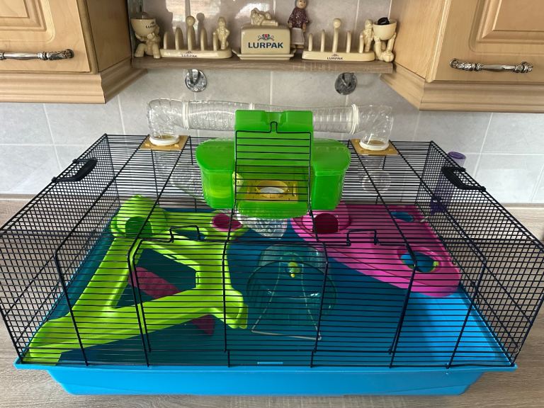Hamster cage