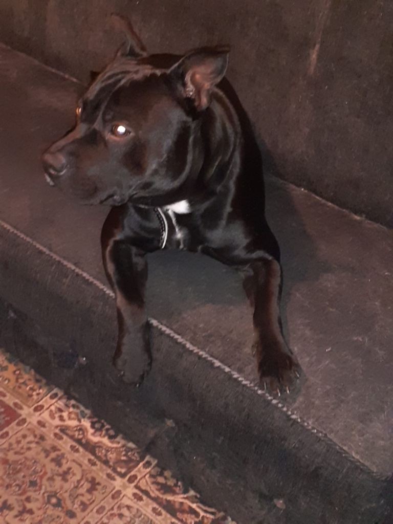 Pablo 