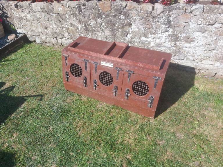 3 Door Terrier Box