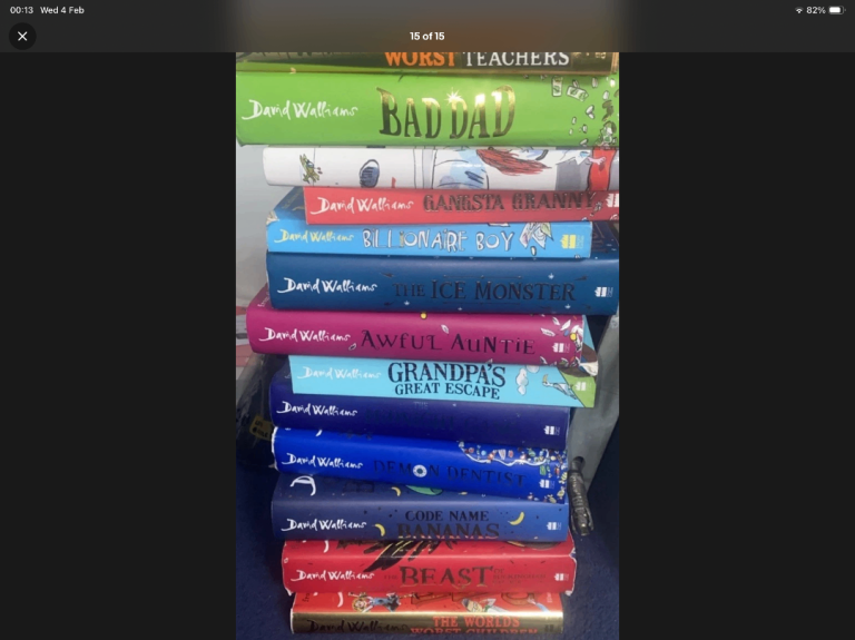 13 David Williams Book Bundle - Hardback Paperback School Reading Fun Fiction