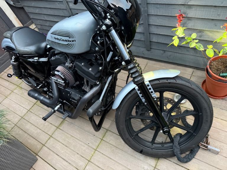 Harley-Davidson, SPORTSTER IRON, 2021, 1202 (cc)