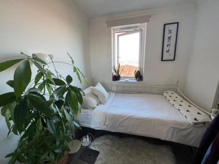 Single Room for Rent 