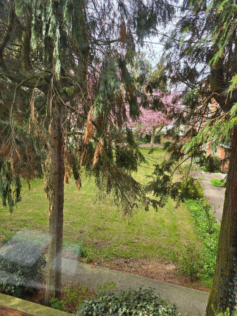 2 Bedroom/2 Bathroom flat with Garage