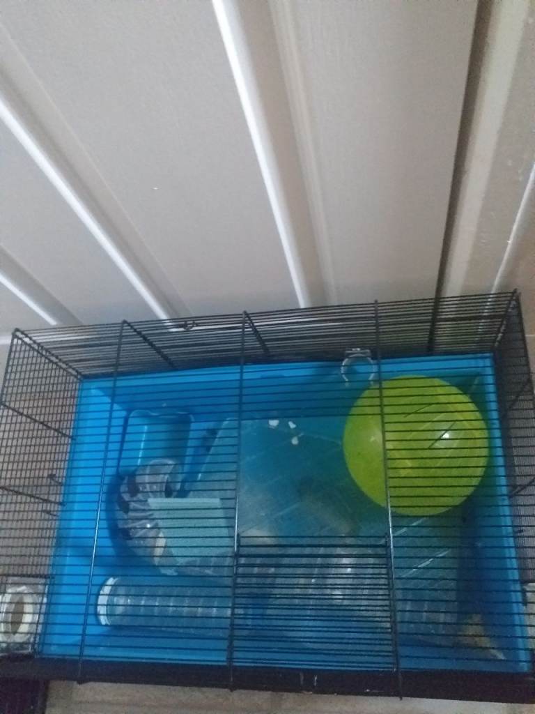 Hamster cage 