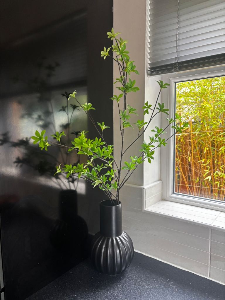 Eye catching black vase with green stem