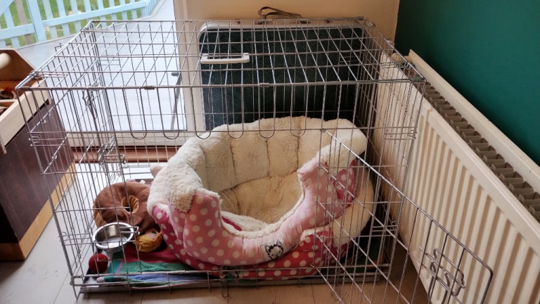 Dog kennel 