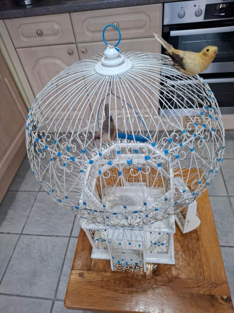 Vintage Balloon Shaped Bird Cage with amazing detail