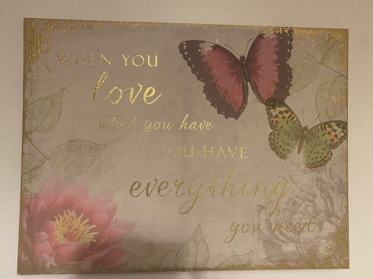 Pair of Butterfly Themed Canvas Pictures - Good Condition