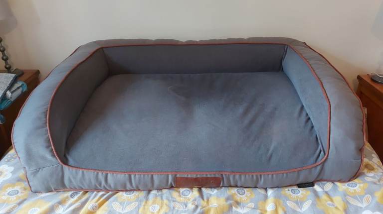 George Barclay dog sofa bed