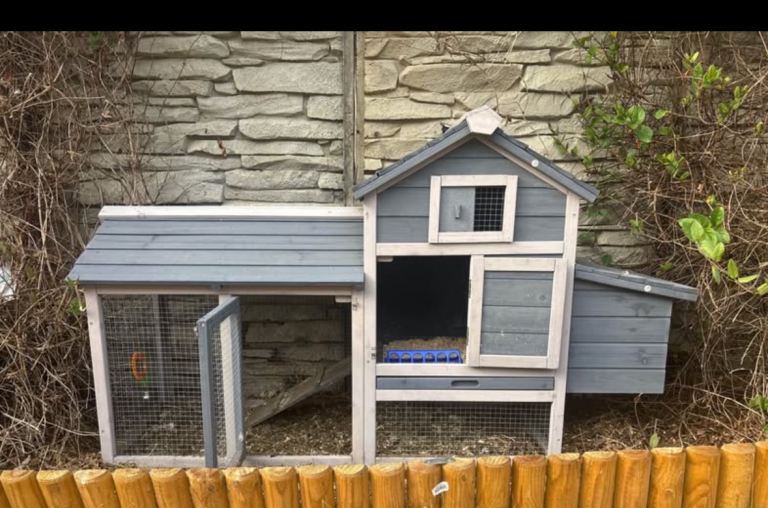 Chicken coop 