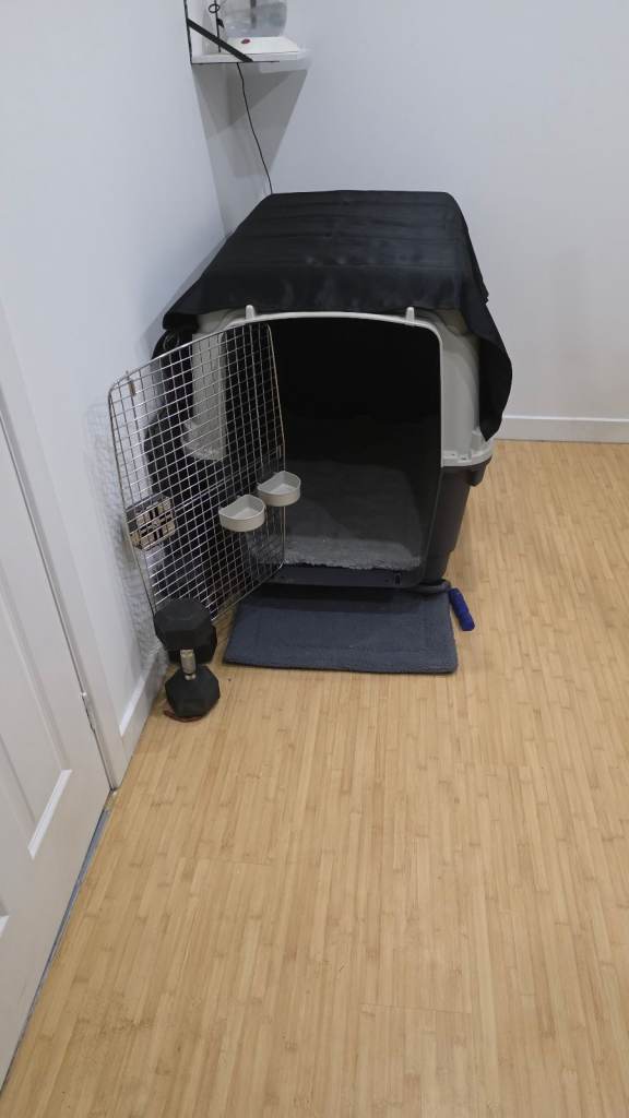 L120 Luxx Giant Pet Carrier - IATA / Airline Approved