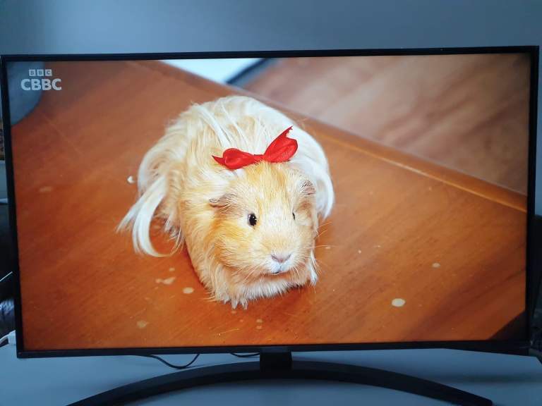 Smart LG 4K UHD 43inch HDR Tv with Alexa and Google Assistant builtin 