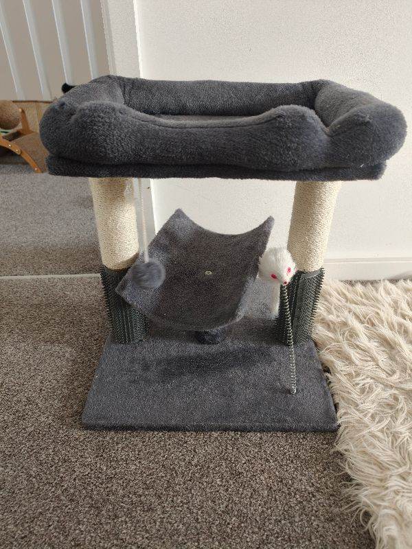 Cat scratching post 