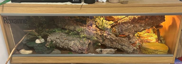 4ft long 1.5ft wide wooden reptile vivarium / terrarium 