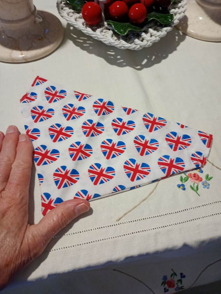 Med/large dog bandana 