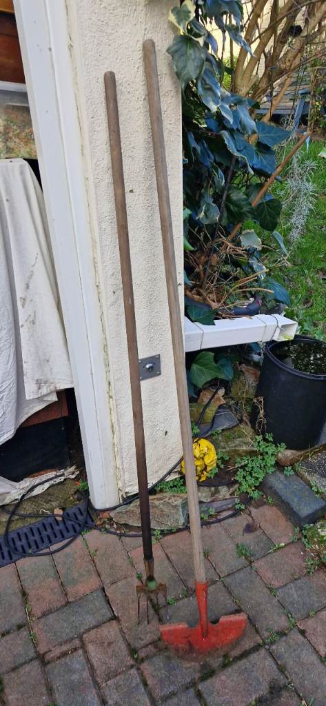 Job lot bulk collection car boot