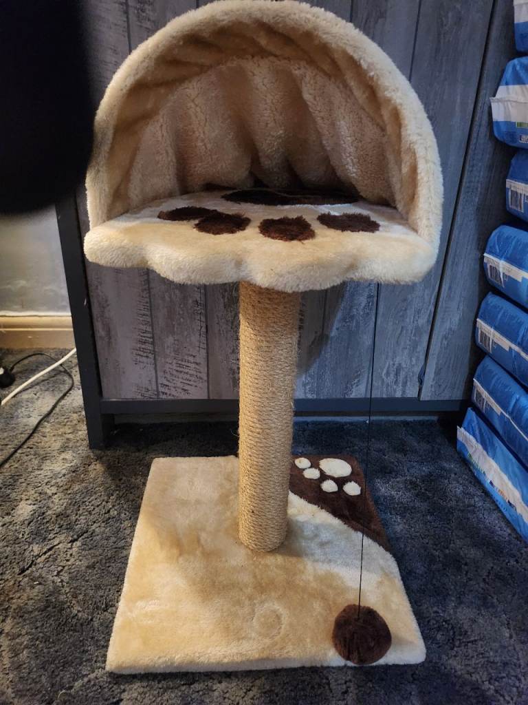 Cat Tower
