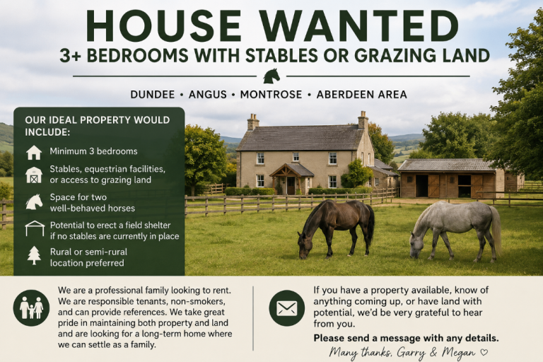 House Wanted – 3+ Bedrooms with Stables or Grazing Land