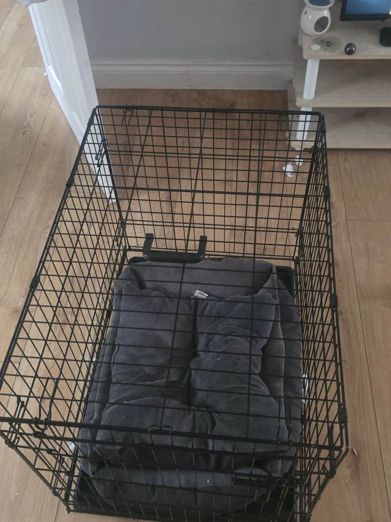 Medium size pets for home dig cage and bed