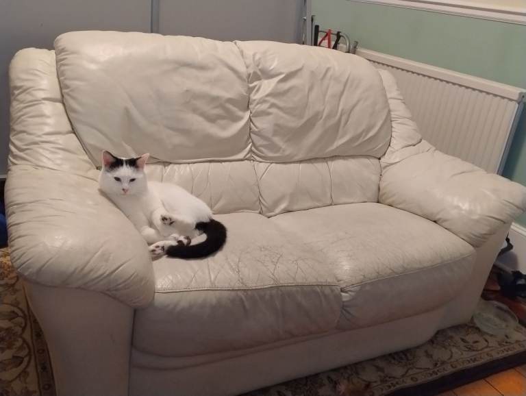 FREE Soft Italian Leather Cream Sofa