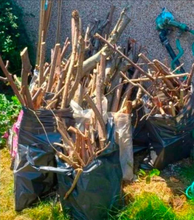 12 sack of tree cutting for wood burners £5 PER BAG🙏🏻URGENT SALES , £5.00