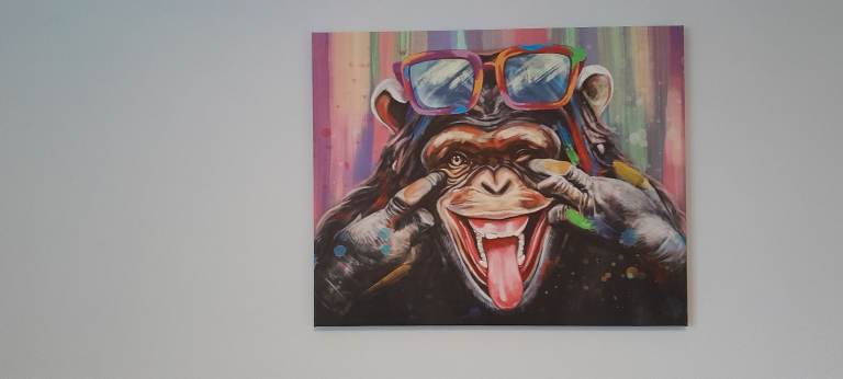 Dunelm Cheeky Monkey Canvas