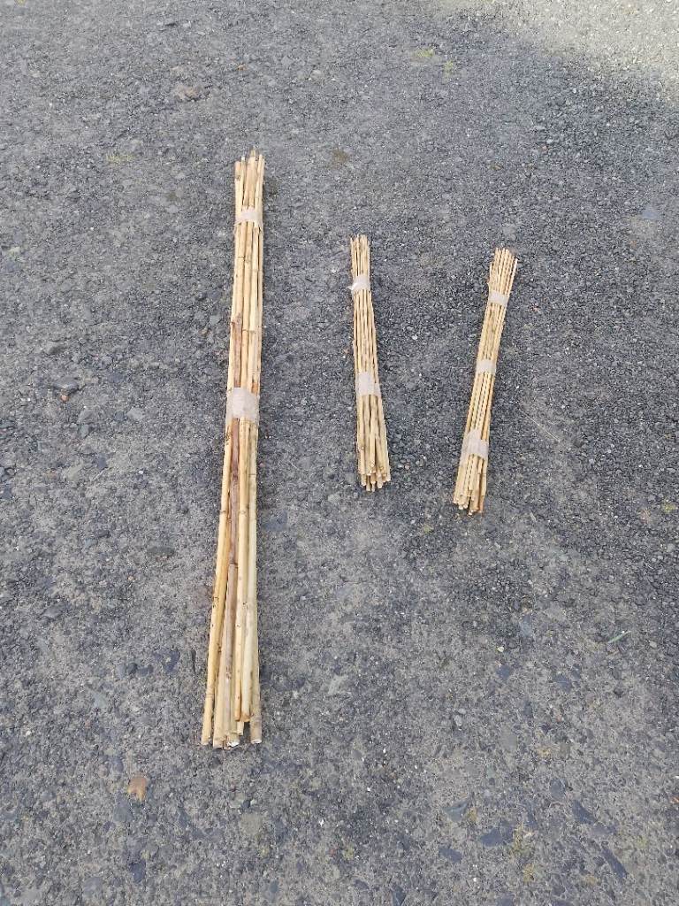 Bamboo canes 3ft and 6 ft 