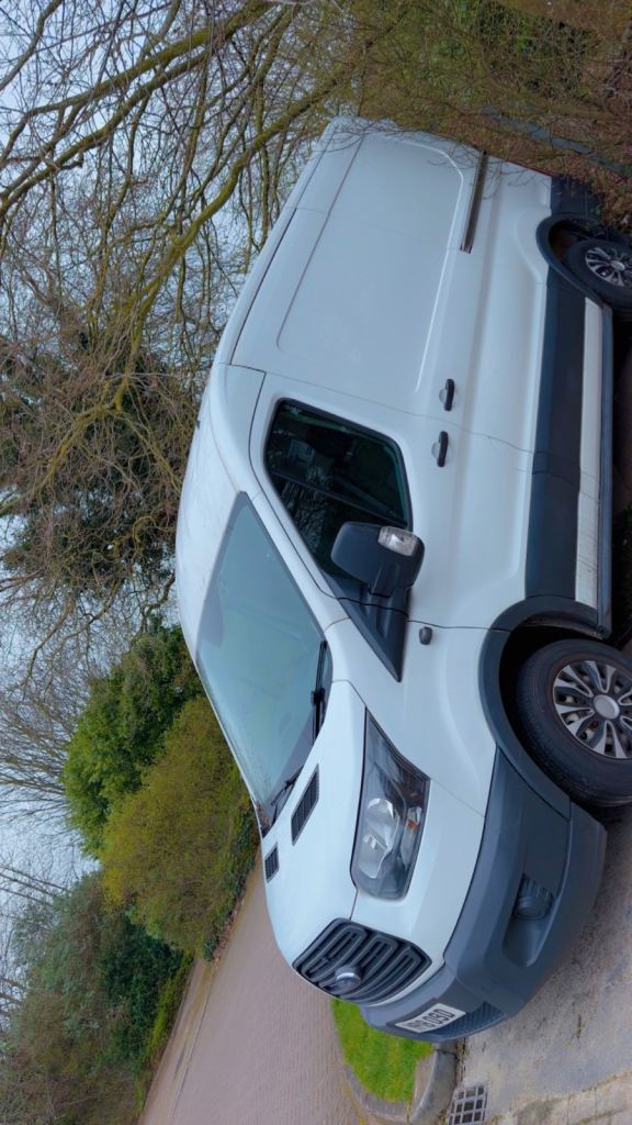 Ford, TRANSIT, Panel Van, 2018, Manual, 1996 (cc)