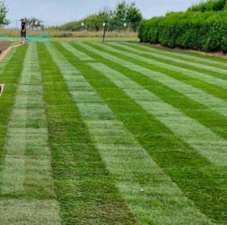 Fresh cut turf Norwich 
