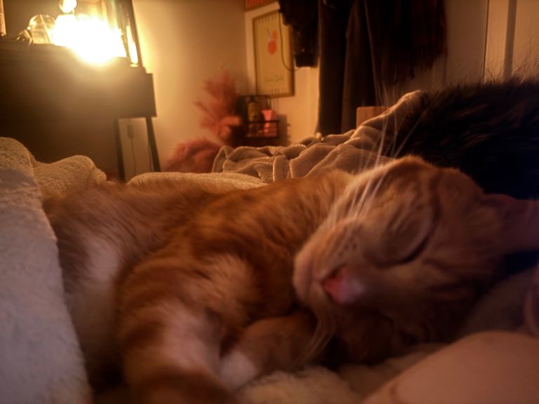 Gorgeous loving ginger boy