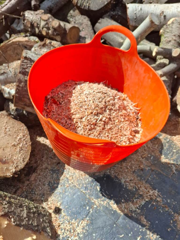 Free fresh sawdust 