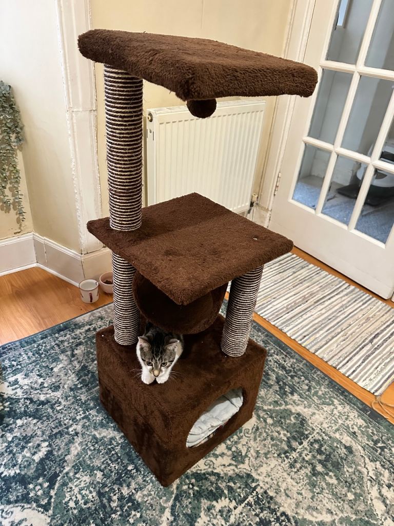 Cat tree