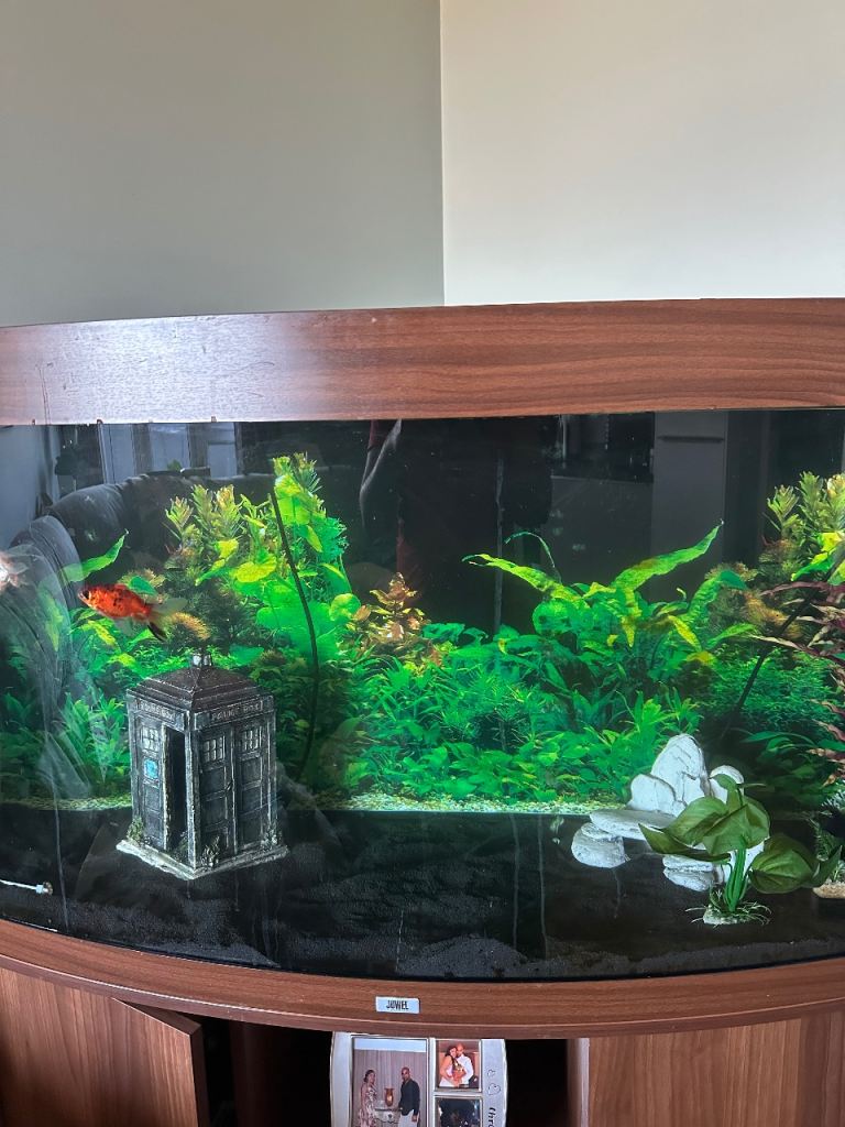 Juwel vision 260 litter aquarium with two external pump X 2 