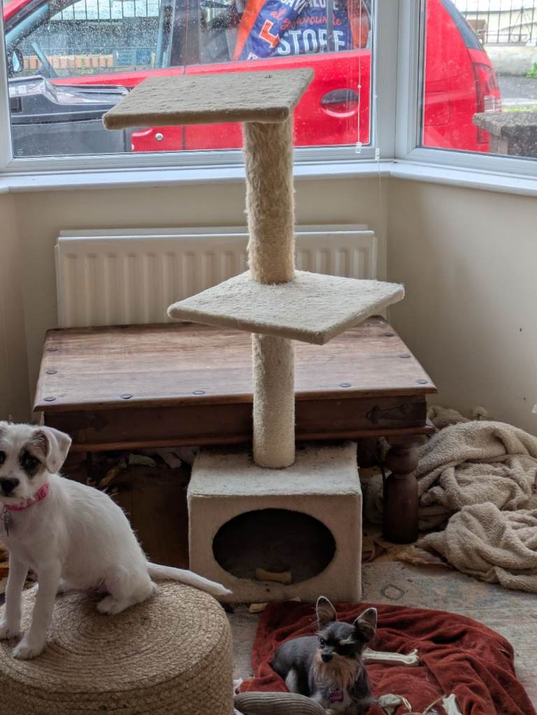 *PENDING COLLECTION* FREE! Climber/scratcher 