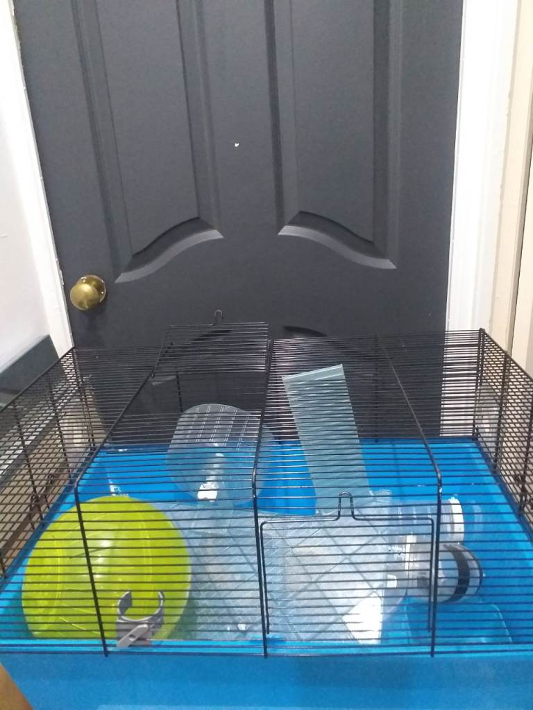 Hamster cage 