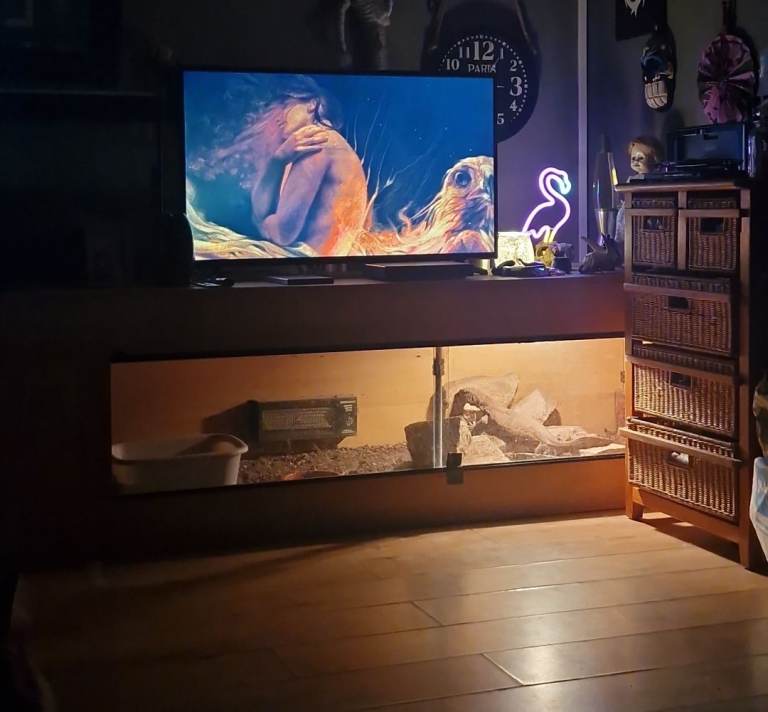 8ft viv with accessories lights rocks bowls etc 