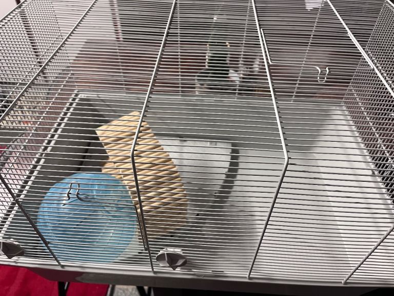 Hamster cage 
