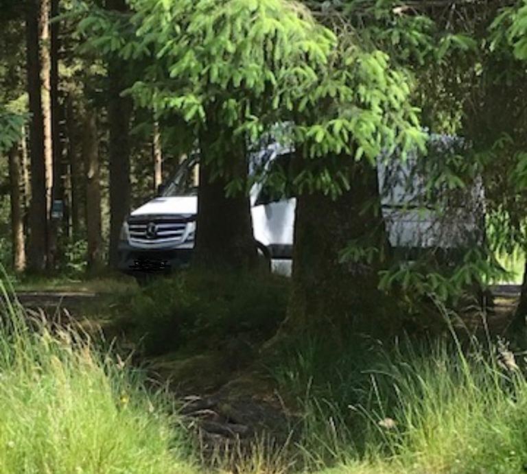 Mercedes-Benz, SPRINTER, Panel Van, 2017, 2143 (cc)