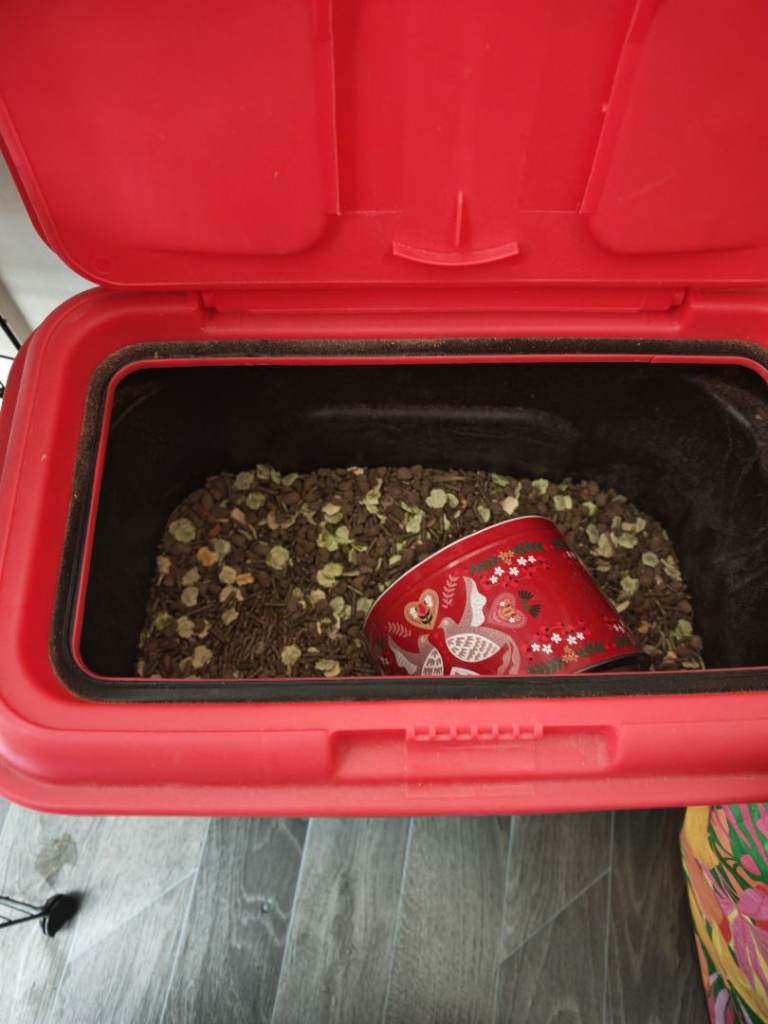 Free Guinea pig food + accessories 