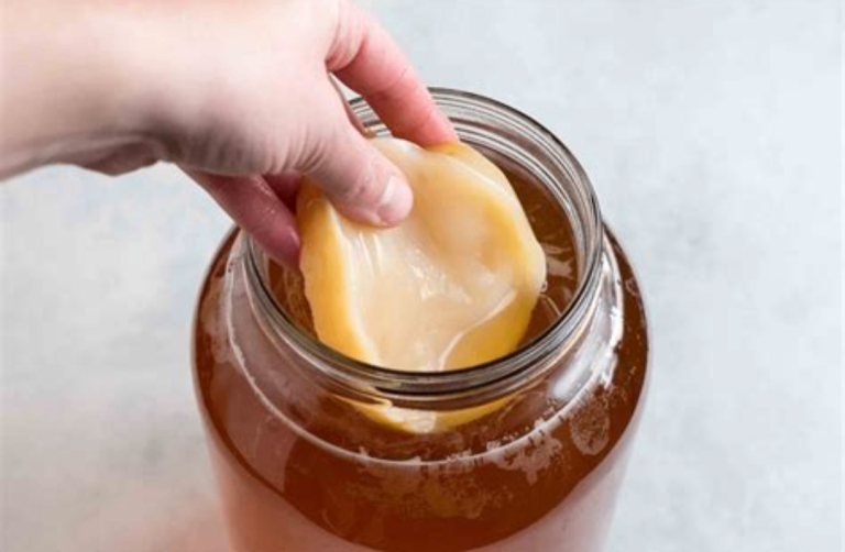 Live Kombucha SCOBY with Starter Tea