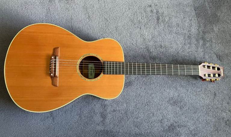 Yamaha FPX300N Nylon Strung Classical Guitar
