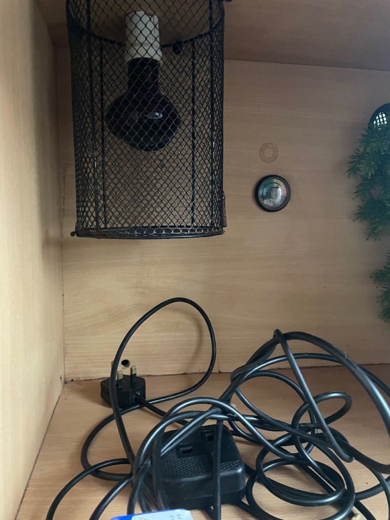 Vivarium 2ft + Istat Thermostat 