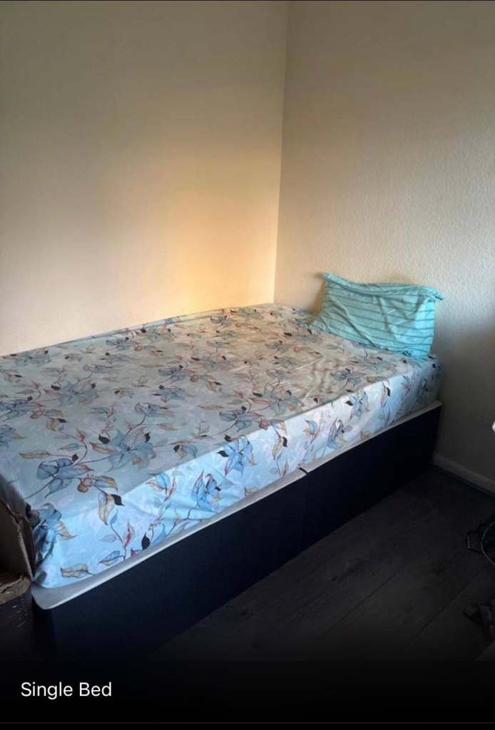 Shared Apartment Room