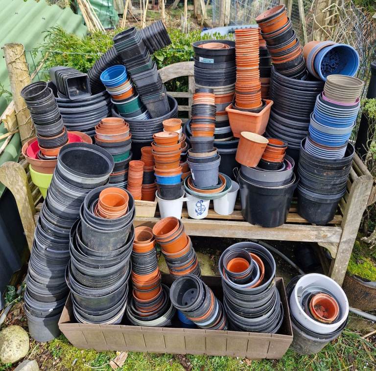 FREE hundreds of plant pots FREE