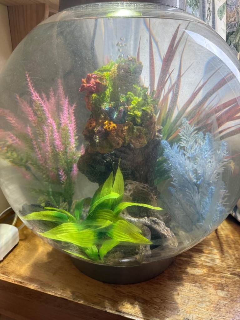 Large Round Fish Tank Aquarium with Artificial Plants & XR15 Light