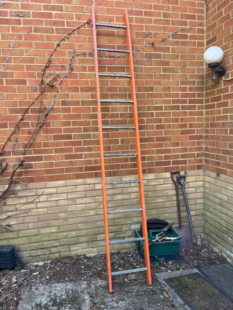Ladder 3m tall