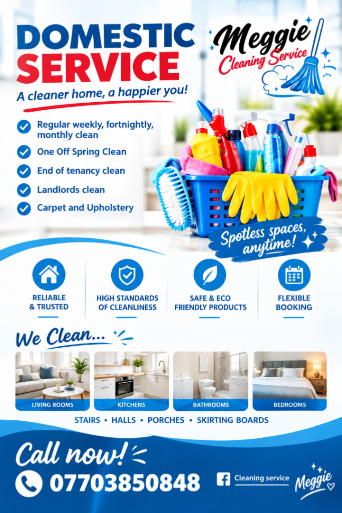 Meggie Cleaning Service
