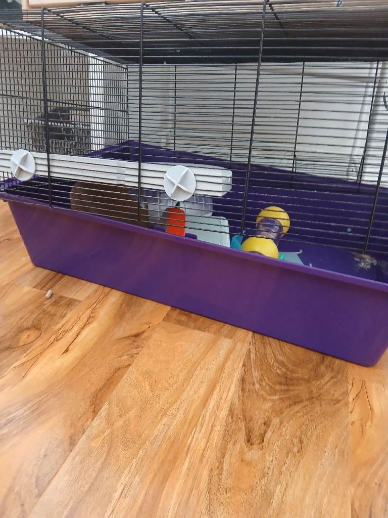 Hamster cages